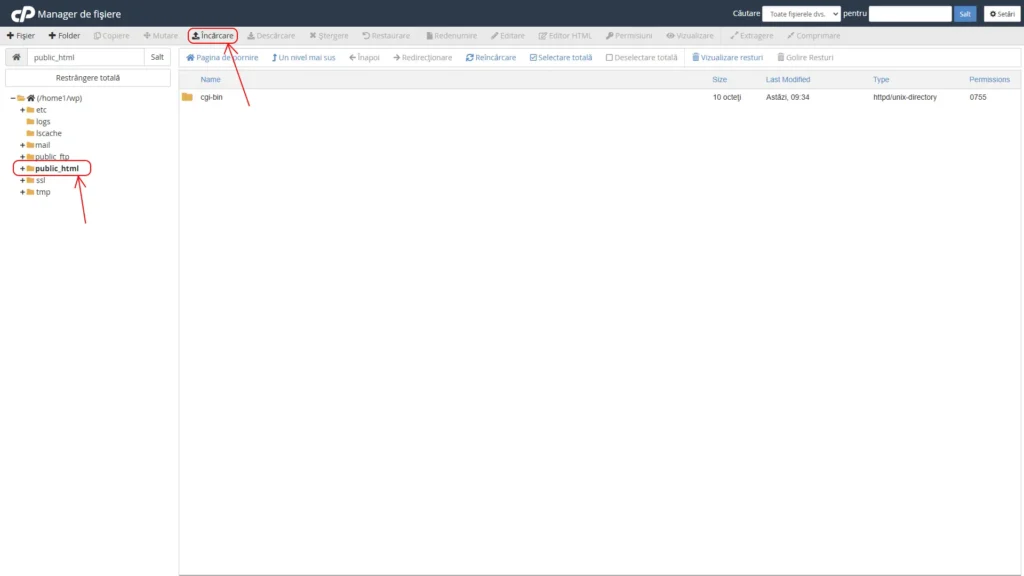 Locate the Website Root Locate the Website Root